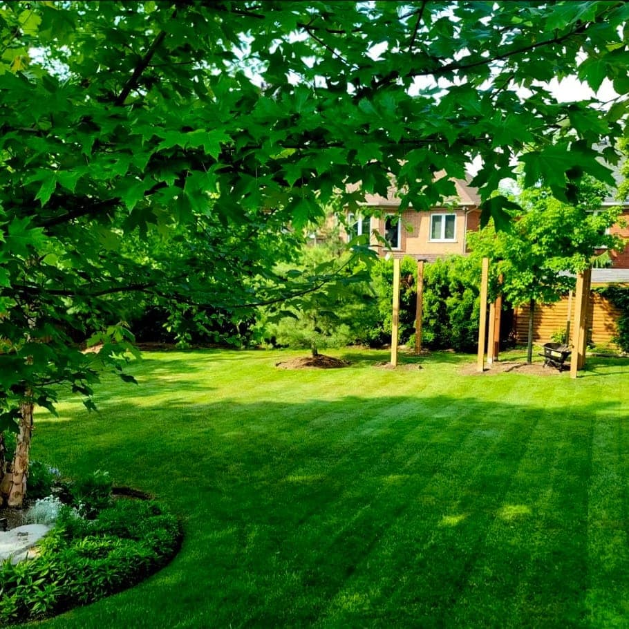 Lawn Care & Maintenance work by LKN Construction